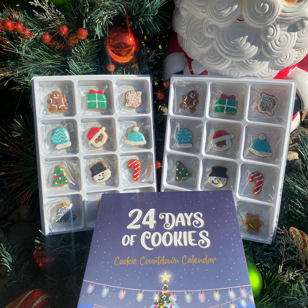Doggie Treat Advent Calendar